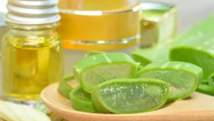 Read more about the article Remedies for HairFall: Benefits of Aloe Vera Gel and Onion Oil