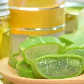 Remedies for HairFall: Benefits of Aloe Vera Gel and Onion Oil